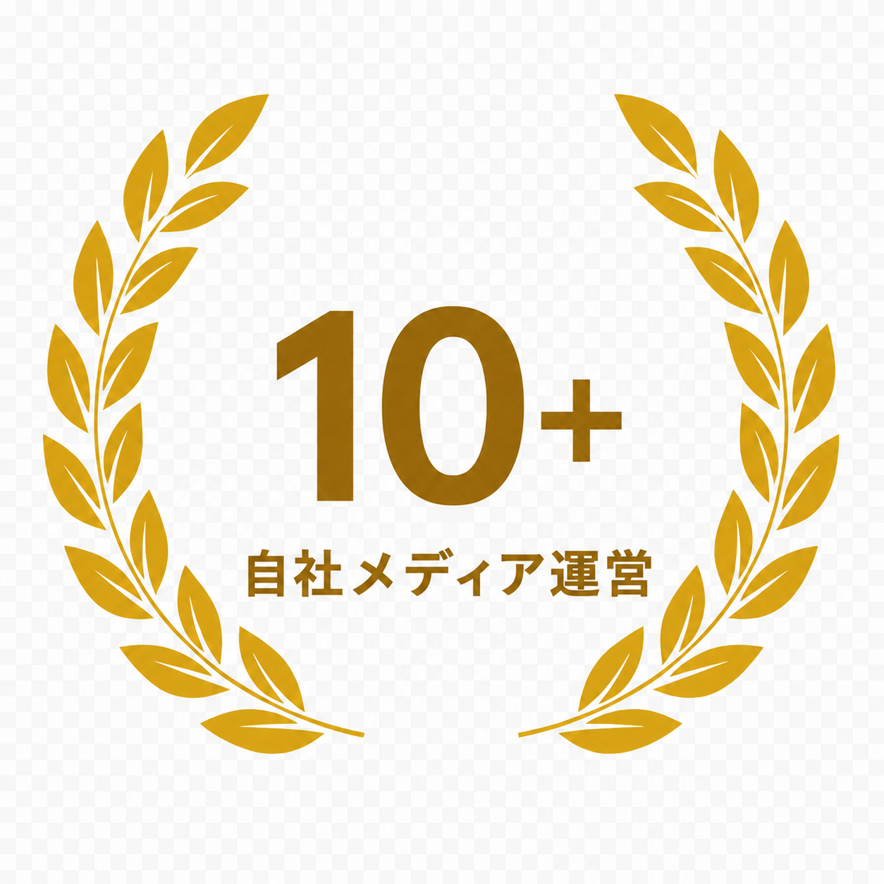 10+ 自社メディア運営